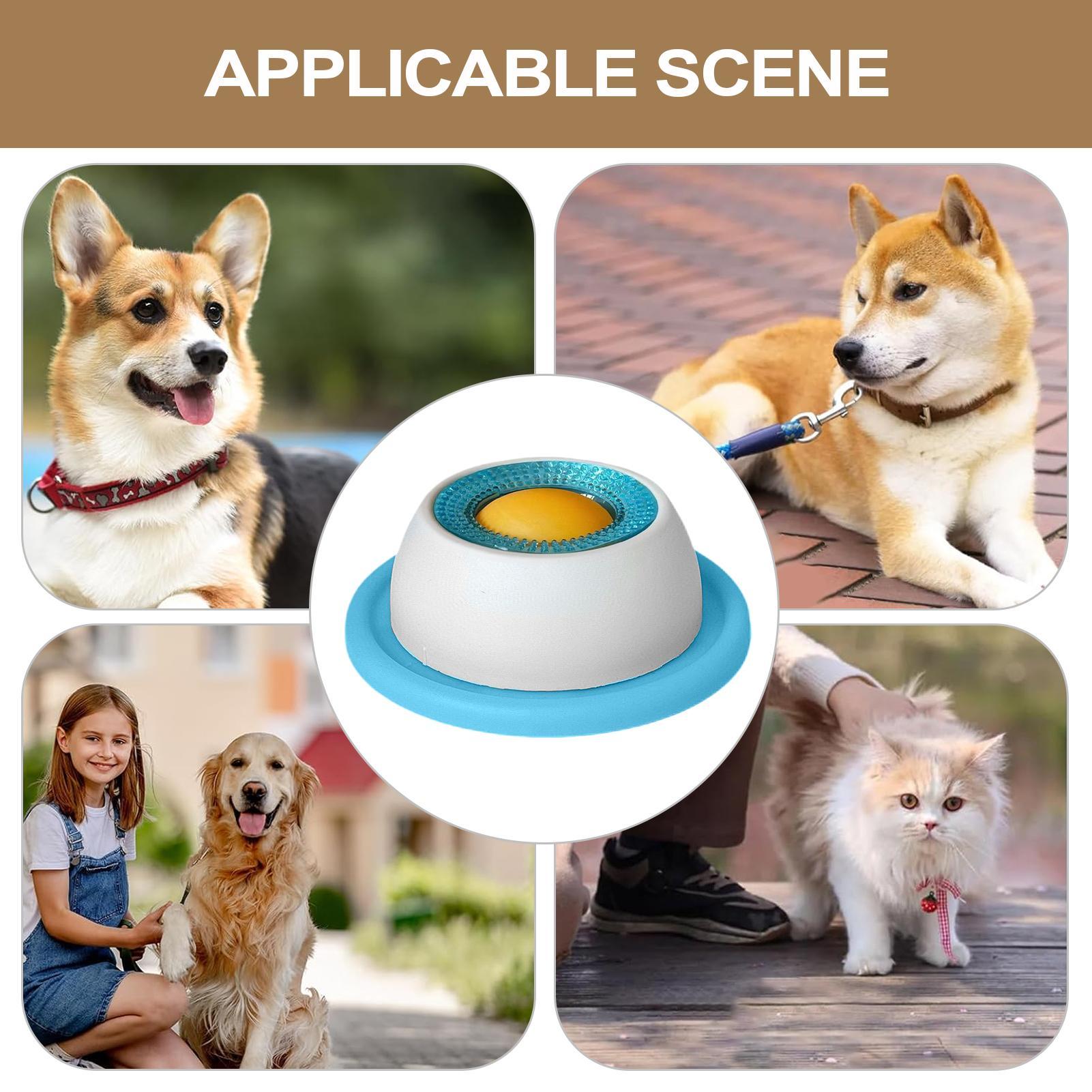 Brinquedo para Cães, Acessório - Dog Puzzle Feeder Toy avaliação e preço