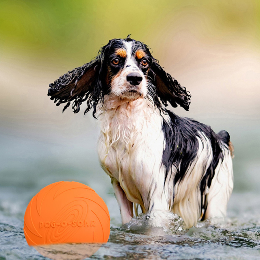 Brinquedo de Disco Voador para - Flying Disc Dog Training Toy avaliação e preço